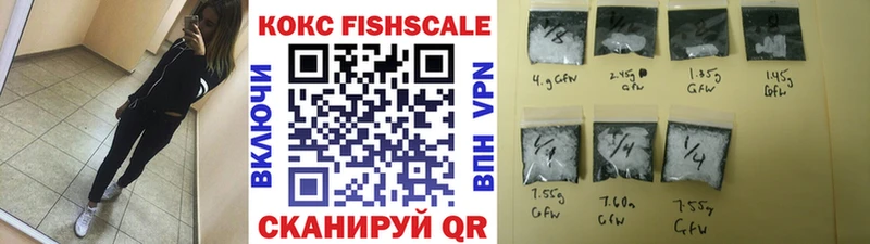 Купить закладки  Уссурийск  Кокаин FishScale 