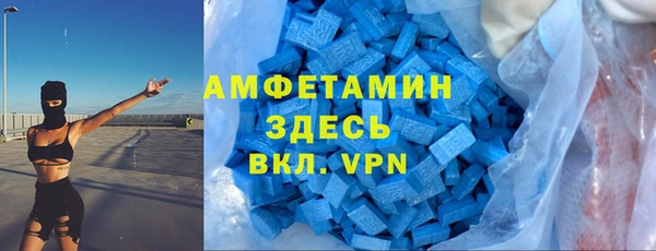 прущие грибы Беломорск