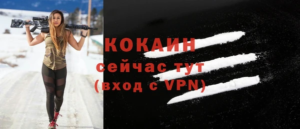 прущие грибы Беломорск