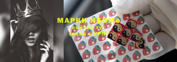 прущие грибы Беломорск