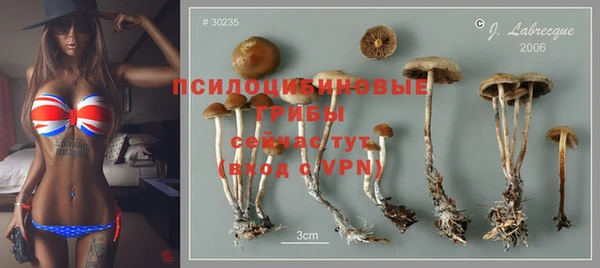 круглые Белокуриха