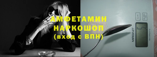 прущие грибы Беломорск