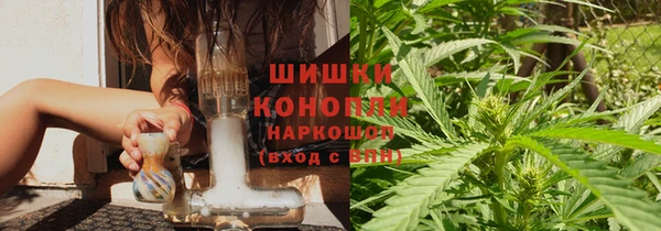 прущие грибы Беломорск