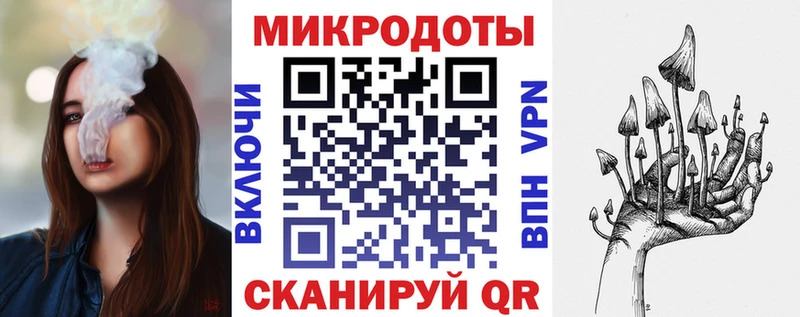 Галлюциногенные грибы Psilocybine cubensis Уссурийск